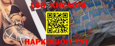 герыч Моздок