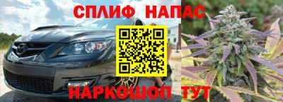 герыч Моздок