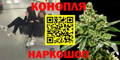 герыч Моздок