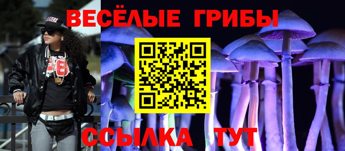 Псилоцибиновые грибы Psilocybine cubensis Аксай
