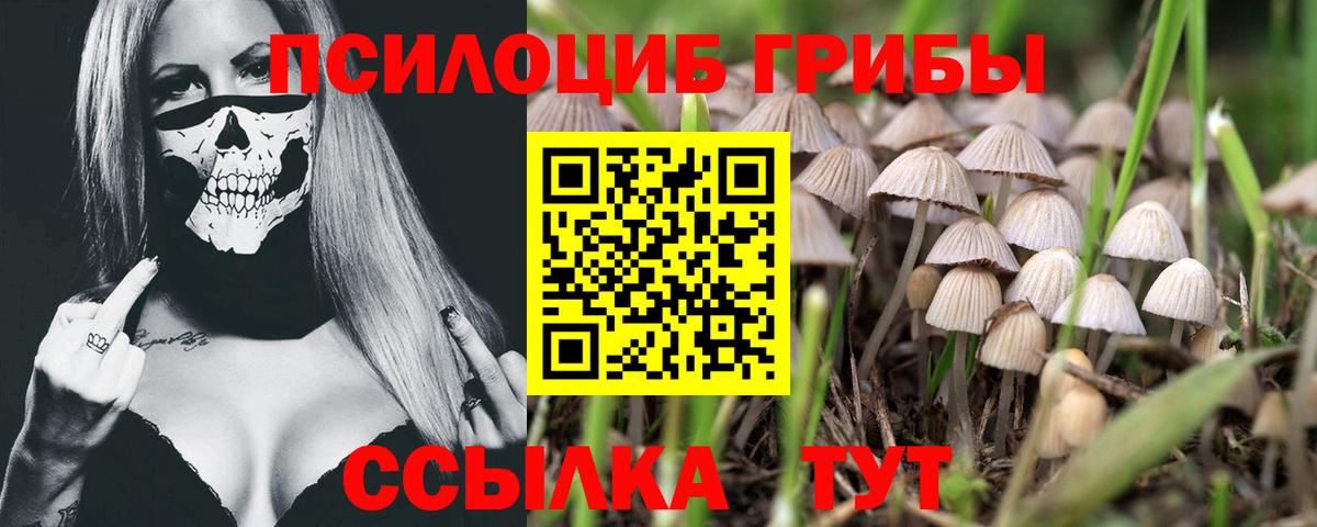 Аксай  Галлюциногенные грибы прущие грибы  Вход с VPN 